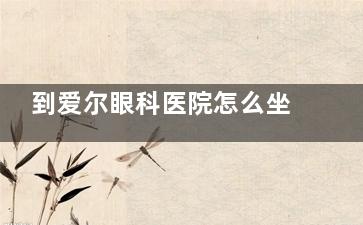 到爱尔眼科医院怎么坐车？别担心本文将详细介绍地铁公交和自驾等多种出行方式|让你轻松搞定路线